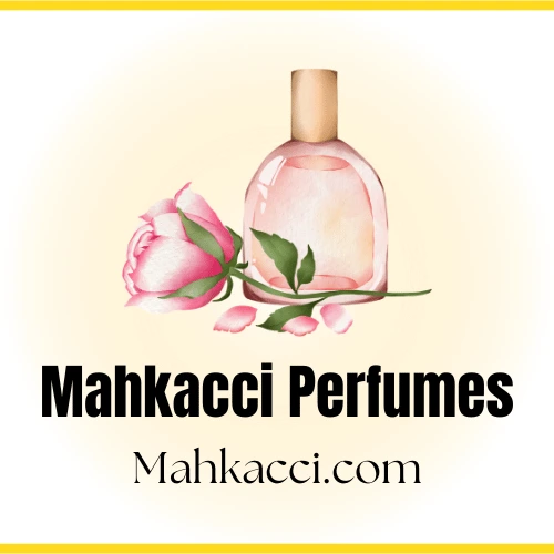 FixGure - Website and SEO Project Mahkacci.com